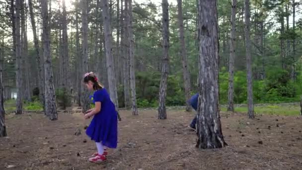 O rapaz com a menina no vestido azul reúne cones em uma floresta de pinheiro — Vídeo de Stock