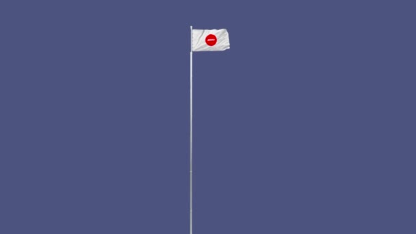 Digitale animatie van de Japanse vlag wapperend in de wind — Stockvideo