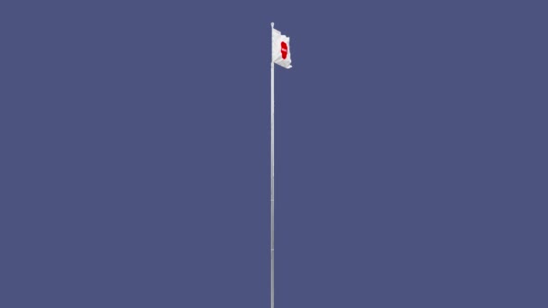 Animation numérique du drapeau japonais agitant le vent — Video