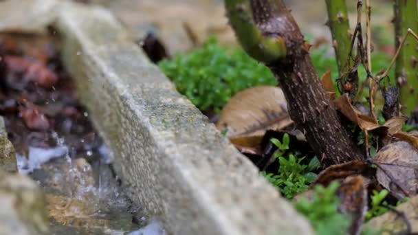 В уютном жилом дворе талая вода стекает в канаву — стоковое видео