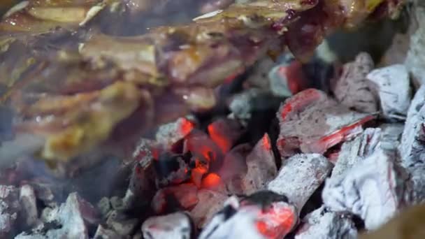 Młody człowiek grilluje na węglu kawałki mięsa. — Wideo stockowe
