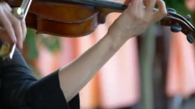 Young graceful female hands play the violin. in the restaurant