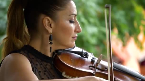 バイオリニストがレストランで演奏している。優雅な女性の手遊びザバイオリン — ストック動画