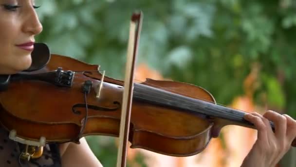 Um violinista está a tocar num restaurante. Mãos femininas graciosas tocam violino — Vídeo de Stock