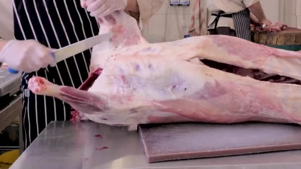 El carnicero corta carne de oveja. Hacer un sacrificio de una oveja en Kurban bayram . — Vídeo de stock