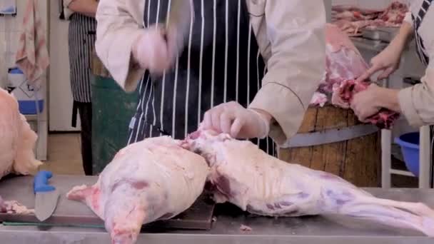 Slachter sneed schapenvlees. Offer een schaap op Kurban bayram.. — Stockvideo