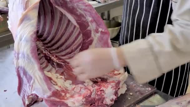 Metzger schnitt Schafsfleisch. Opfergabe eines Schafes auf Kurban bayram. — Stockvideo