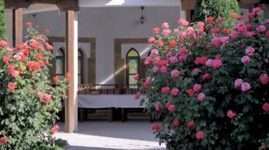 Bahçede güllerle çiçek açan çalılar doğulu tarzında.
