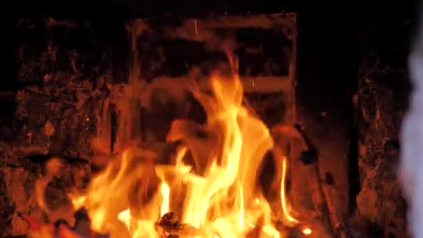 No pátio oriental, um fogo queima em um fogão medieval. Tandoor. close-up — Vídeo de Stock