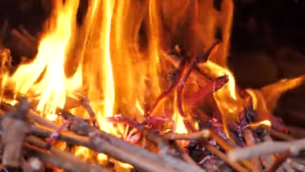 Nel cortile orientale, un fuoco brucia in una stufa medievale. Pietra del cuore. primo piano — Video Stock