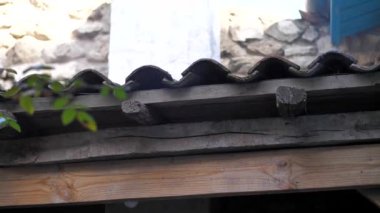 Ortaçağ tarzı bir avluda, bir ortaçağ şöminesinin üstündeki kiremitli çatı. Baca.