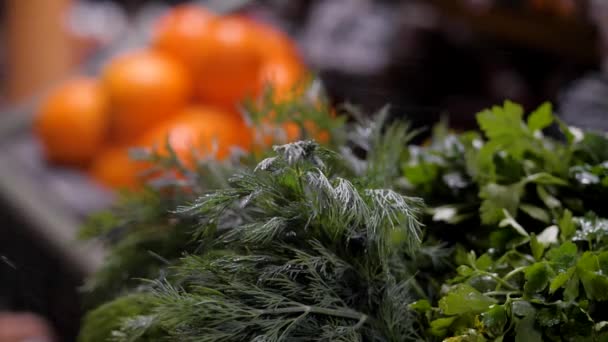 Arbetare strör persilja och dill med vatten från en sprayflaska. slow motion — Stockvideo