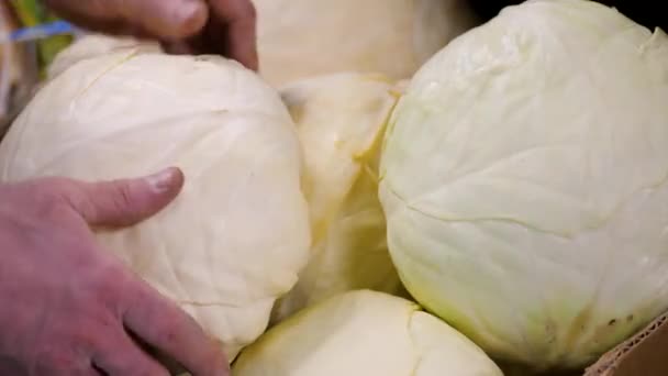 In shop the seller puts the cabbage on the counter — Stock Video
