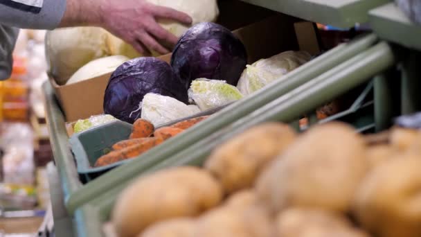 En la tienda el vendedor pone la col en el mostrador — Vídeos de Stock