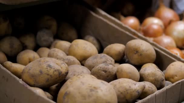 V obchodě prodávající položí brambory na pult — Stock video