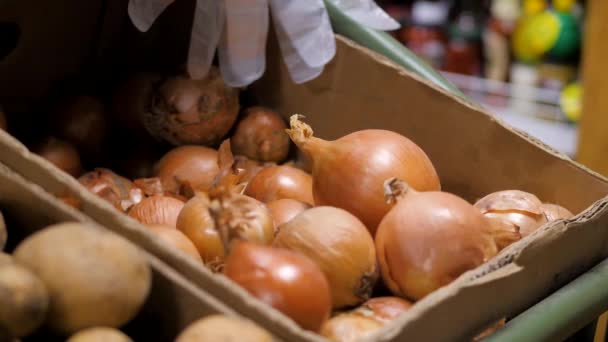 In the shop the seller puts the onions on the counter — Stock Video