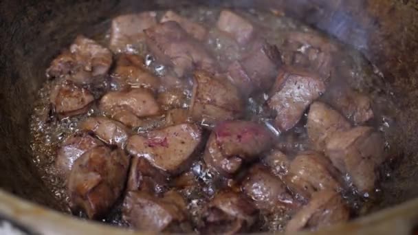 Des morceaux de viande (foie) sont frits dans de l'huile dans un pot de fer sur un feu ouvert — Video