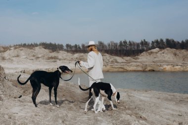 Kadın göl kenarında iki safkan köpekle yürüyor. Kız iki av köpeğini gezdiriyor.