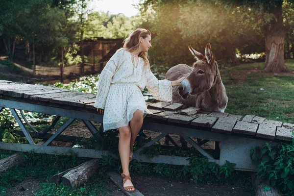 A young woman is standing near donkey and laughing. Model on summer field with donkey .