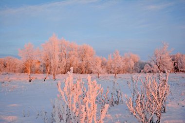 Kış kırsal arazisi