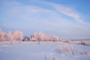 Kış kırsal arazisi