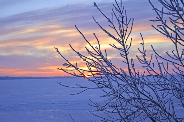 Paesaggio rurale invernale — Foto Stock