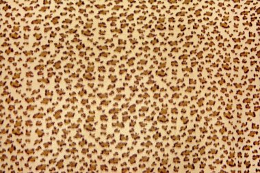 Jaguar, leopar, çita ve yabani deri dokusu arka planı