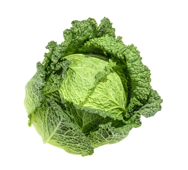 Cabbage isolated on white background without shadow — Stock Photo, Image