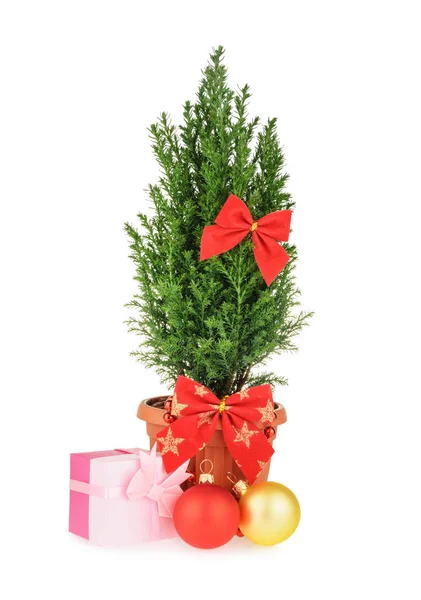 Weihnachtsbaum isoliert auf weiß — Stockfoto