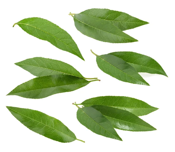 Şeftali izole üzerinde beyaz arka plan bırakır