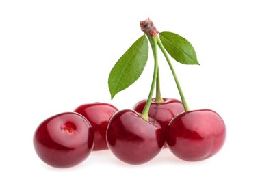 kiraz beyaz üzerine izole