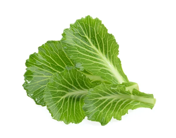 Cabbage leaves isolated on white — Stock Photo, Image
