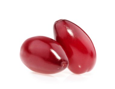 Cornel veya kızılcık izole kırmızı meyveler