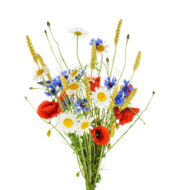 Bouquet of beautiful flowers (Cornflowers, chamomiles wheat and  clipart