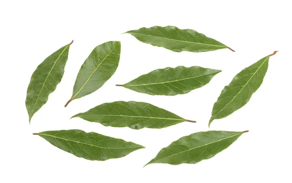 Bay leaves isolated without shadow. set — Stock Photo, Image