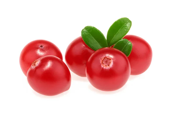 Preiselbeeren isoliert auf weißem Hintergrund — Stockfoto