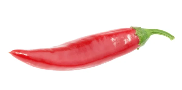 Καυτερή πιπεριά που απομονώνεται σε λευκό φόντο — Φωτογραφία Αρχείου