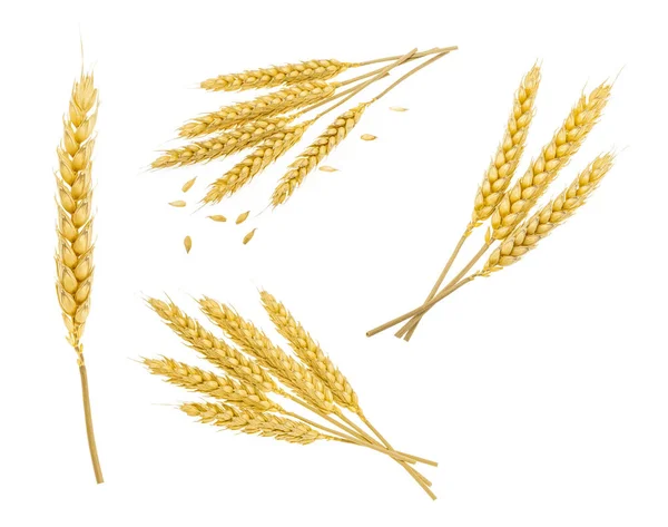 Buğday üzerinde beyaz izole. Gölge. ayarla