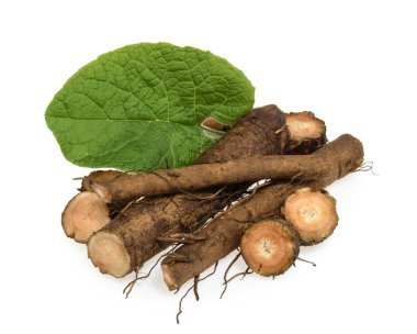 Burdock kökü beyaza izole edildi