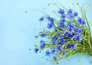 Mavi zemin üzerine Peygamber