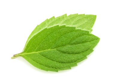 Beyaz arkaplanda izole edilmiş nane yaprakları