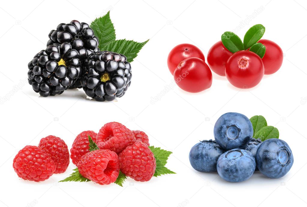 Set of beautiful fruits ( blackberries, cranberries, raspberries