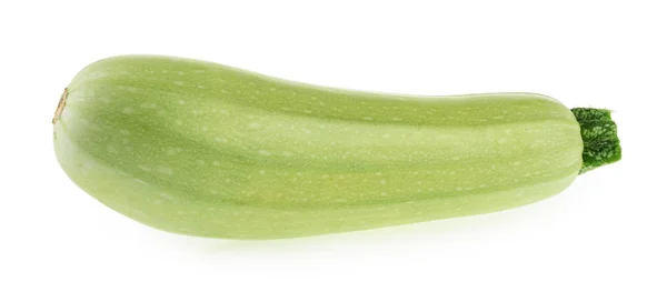 Squash vegetable marrow courgette geïsoleerd op witte achtergrond — Stockfoto