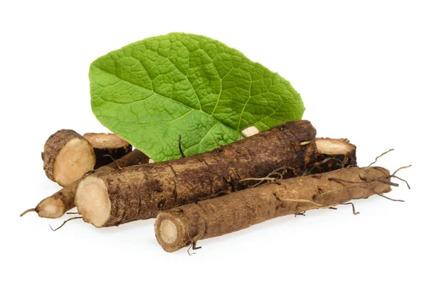 Beyaz arkaplanda izole edilmiş burdock kökleri — Stok fotoğraf