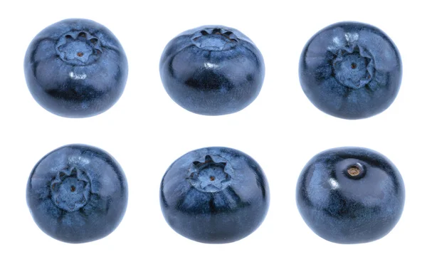 Blueberries isolated on white background without shadow — Stock Photo, Image