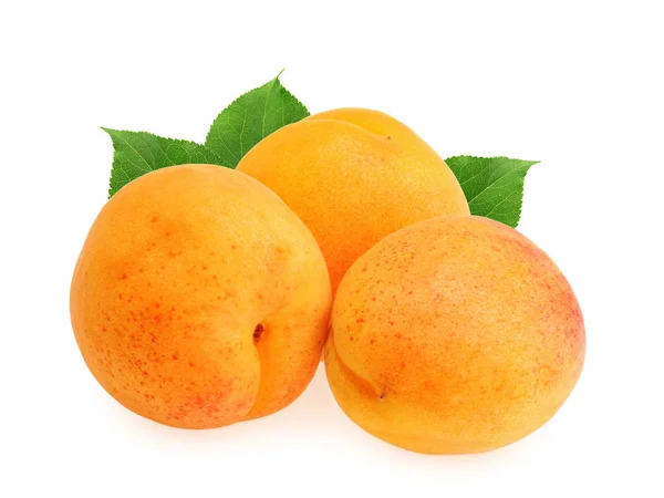 Apricot isolated on white background — Stock Photo, Image