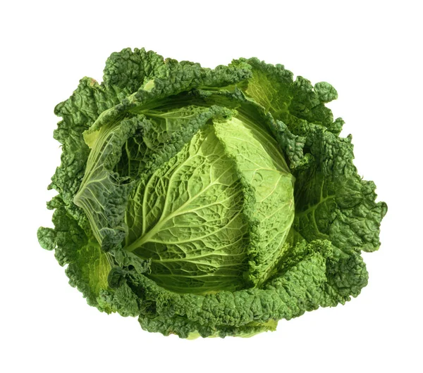 Savoy cabbage isolated without shadow — Stock Photo, Image