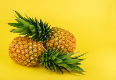 Sarı arka planda ananas