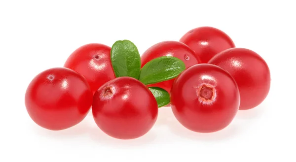 Preiselbeeren isoliert auf weißem Hintergrund — Stockfoto