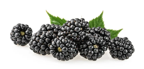 黑莓水果上白色孤立 — 图库照片